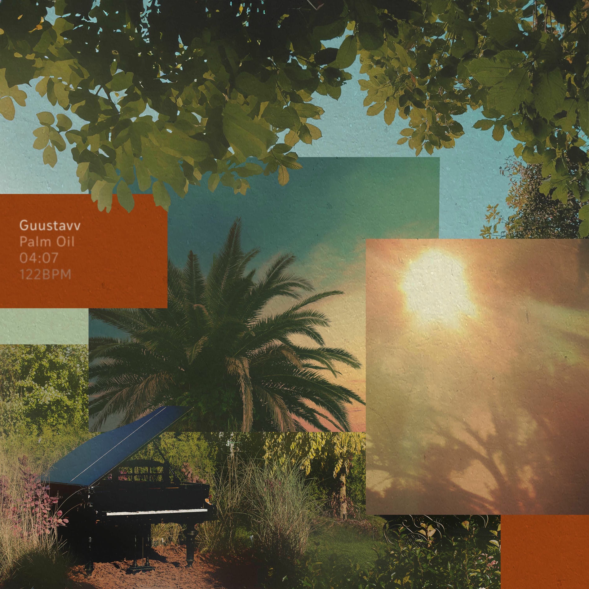 Album cover of Palm Oil