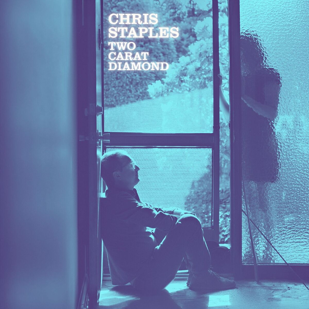 Album cover of Two Carat Diamond