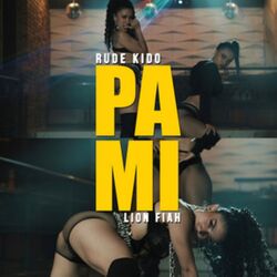 Cover of Pa Mi