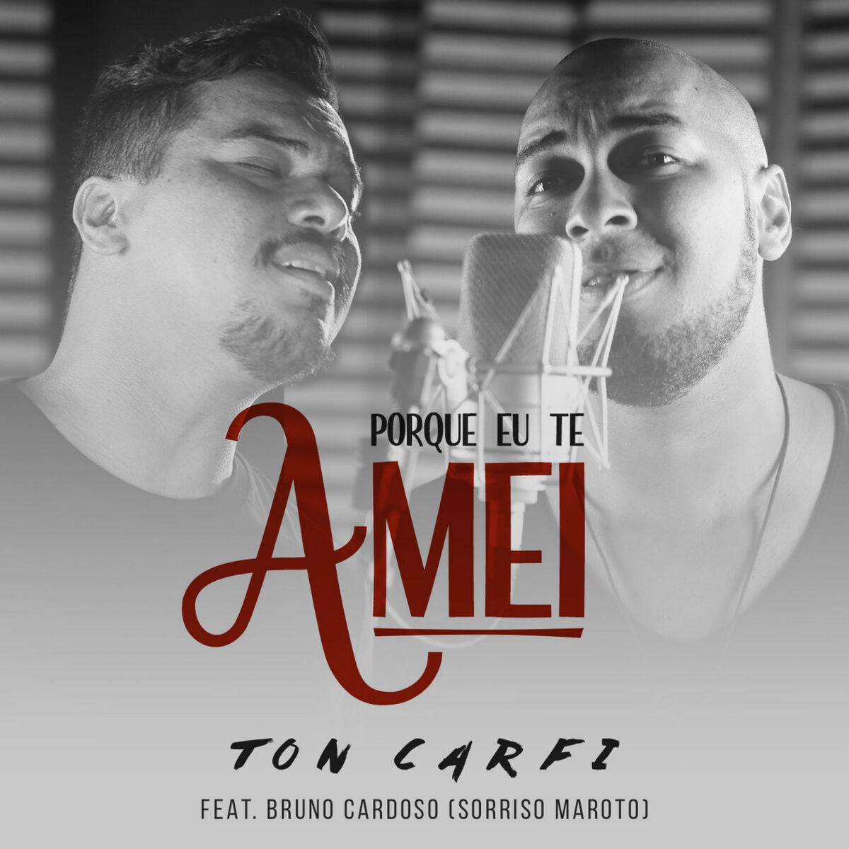 Album picture of Porque Eu Te Amei - Single