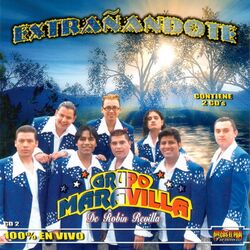 Cover of Extrañadote