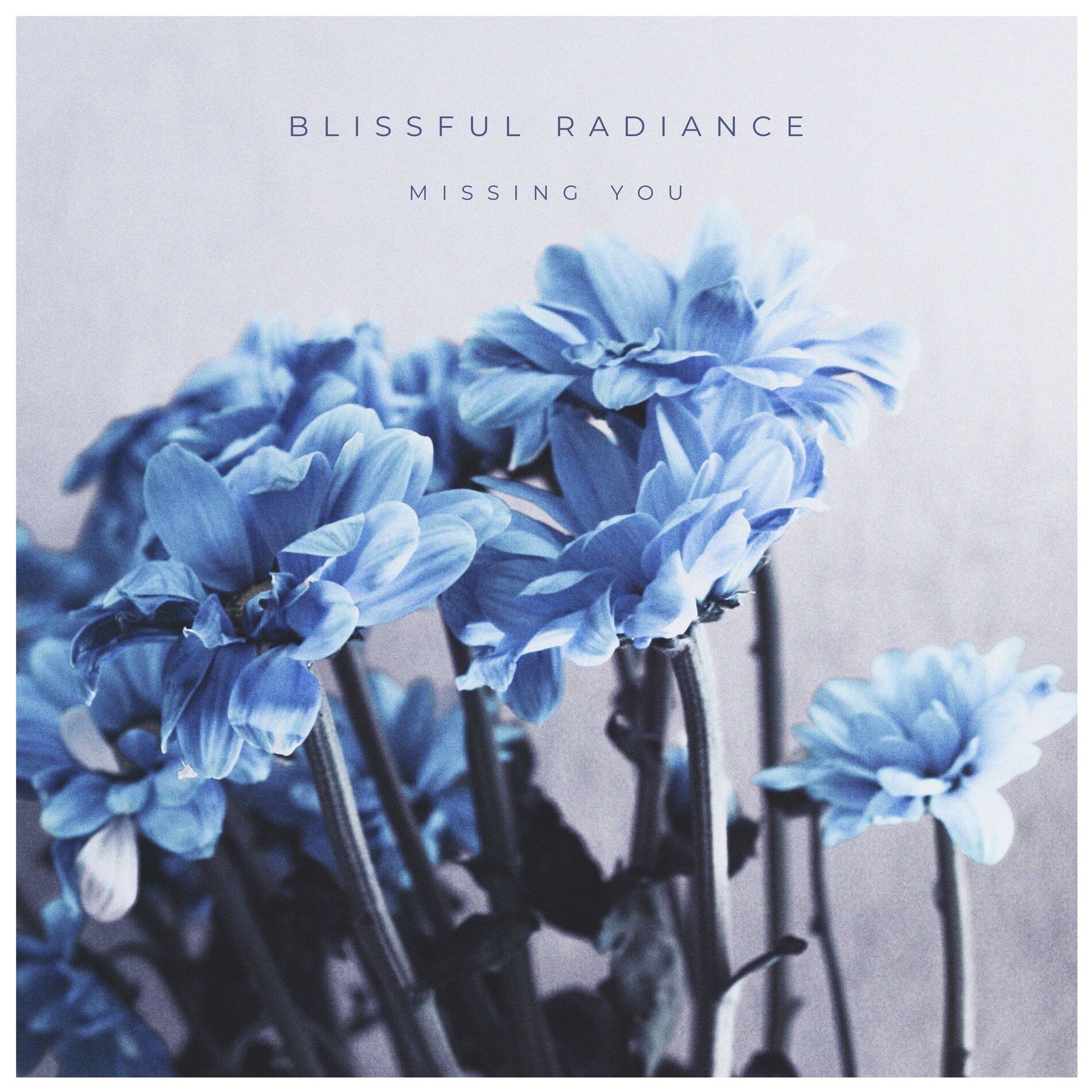 Album cover of Missing You