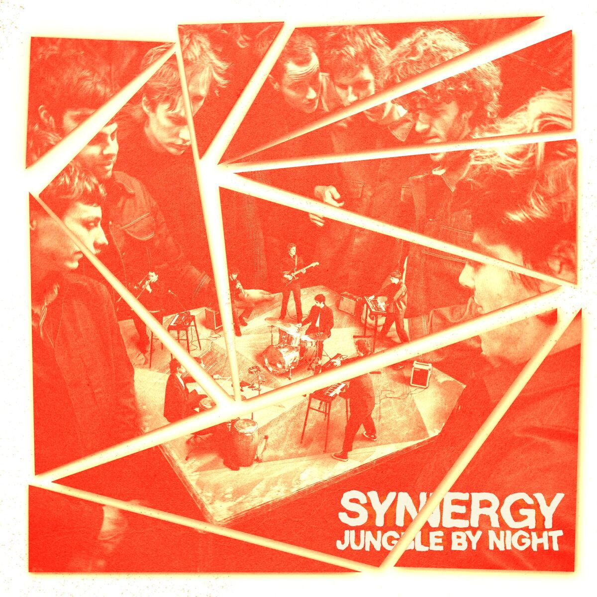 Album cover of Synergy Remixes