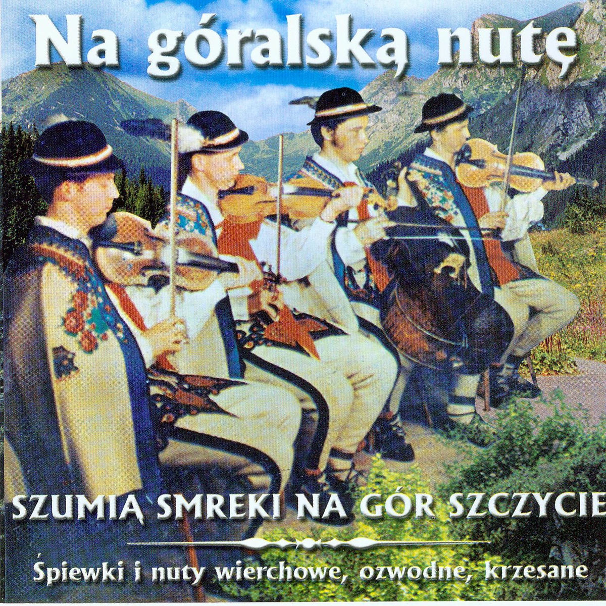Album cover of Na góralską nutę cz. 13
