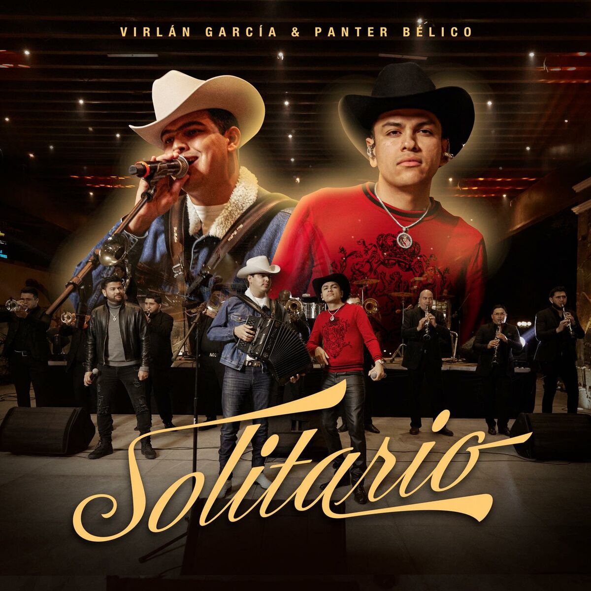 Album cover of Solitario