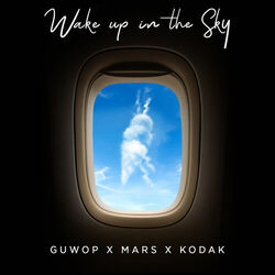 Cover of Wake Up in the Sky