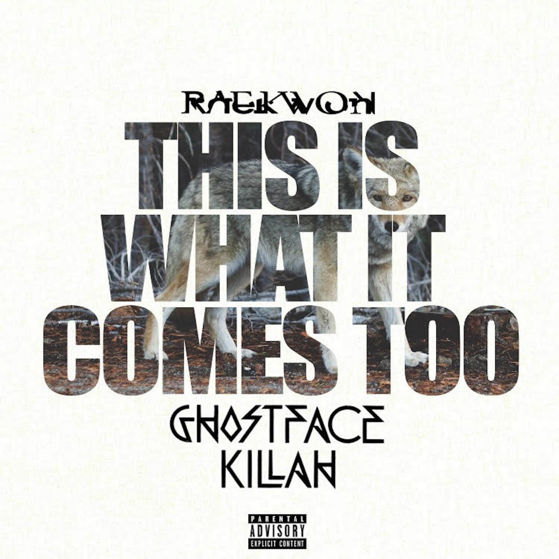 Album cover of This Is What It Comes Too (Remix) [feat. Ghostface Killah]