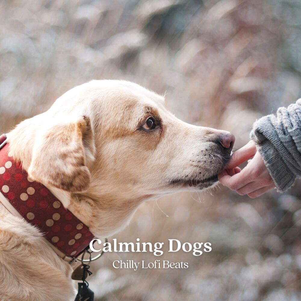 Picture of Calming Dogs: Chilly Lofi Beats