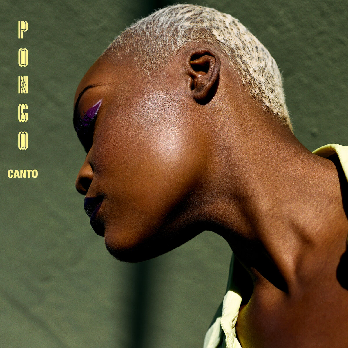 Album cover of Canto