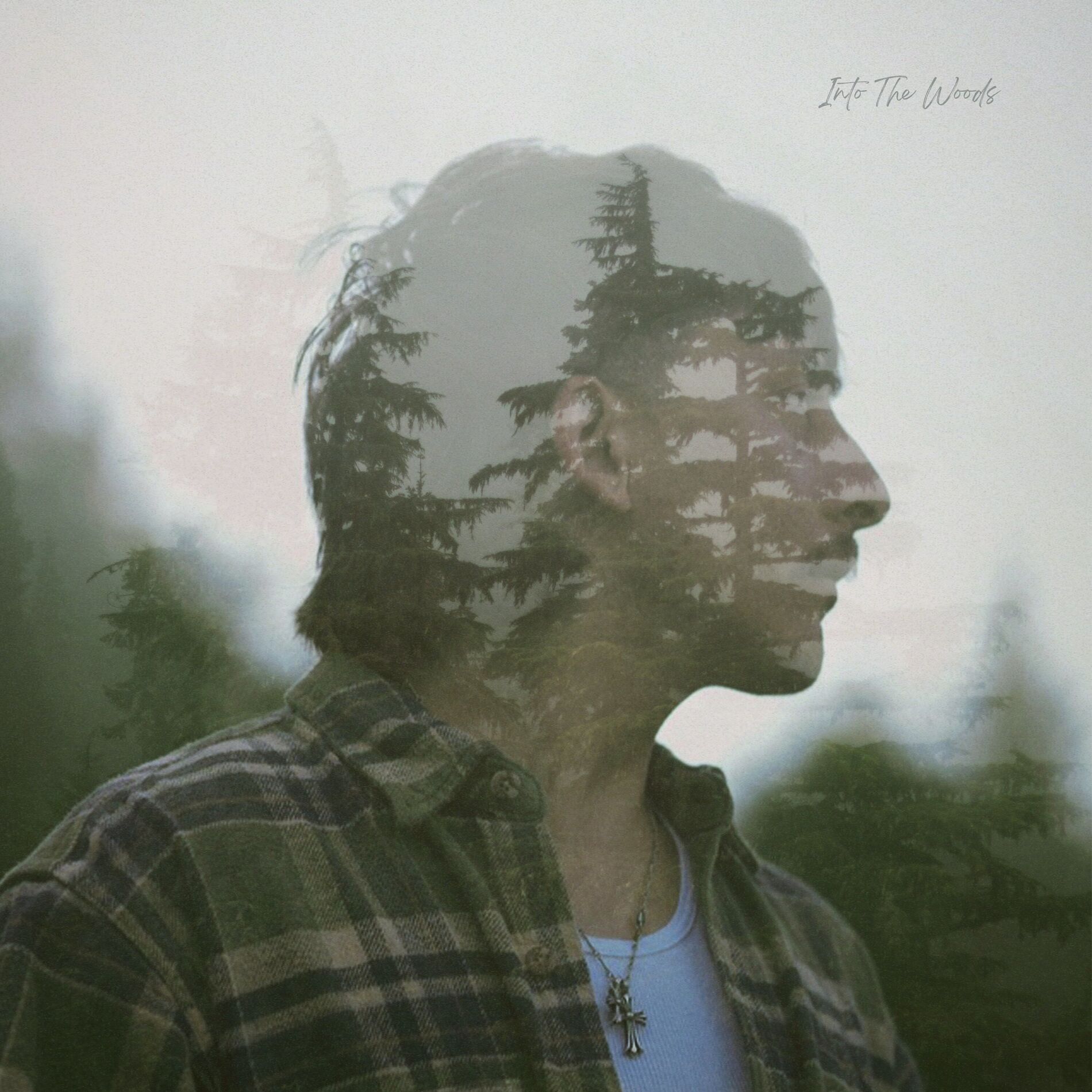 Album cover of Into the Woods