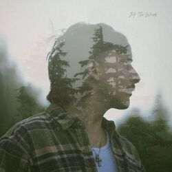 Cover of Into the Woods