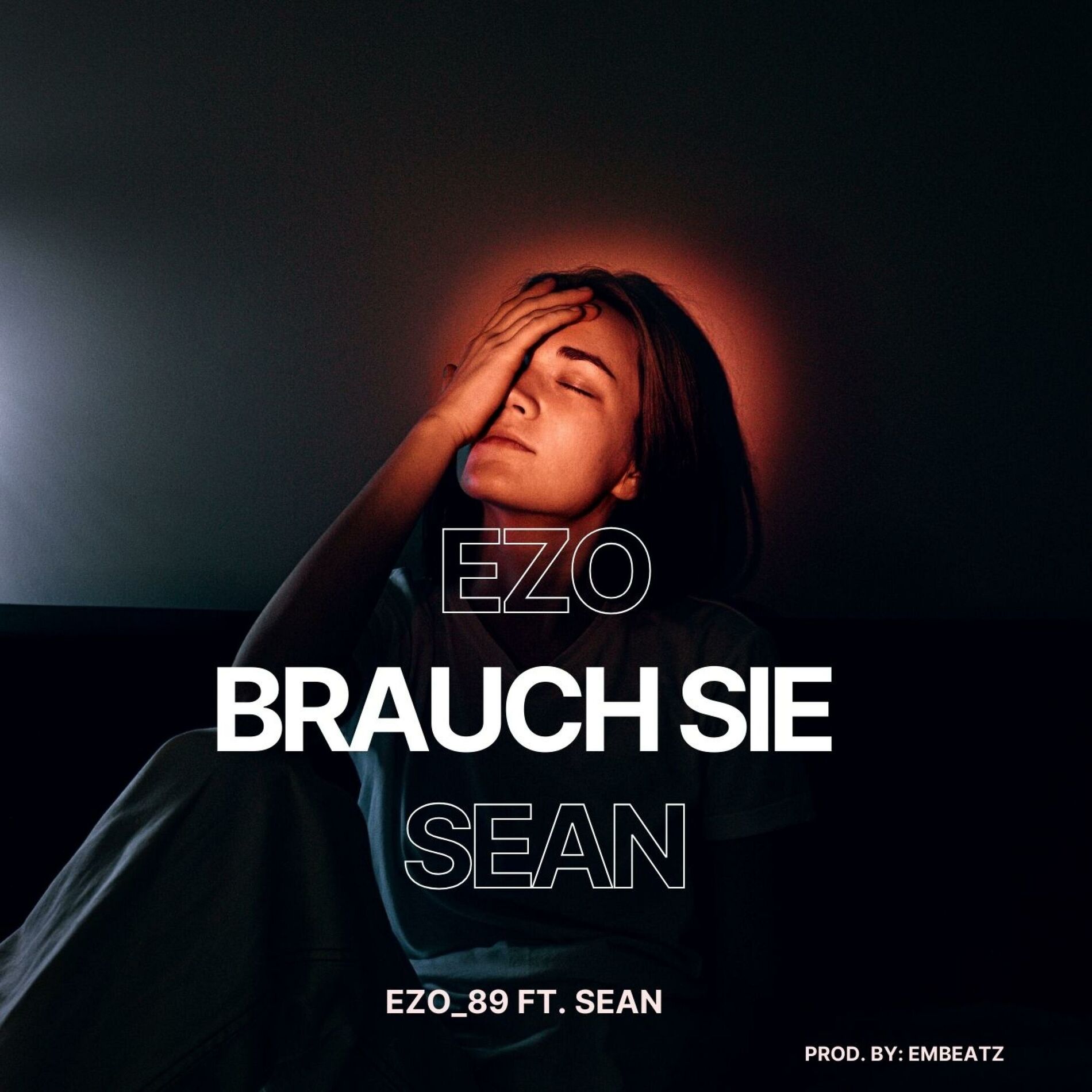Album cover of Brauch Sie (feat. Sean) [EMBEATZ Remix]