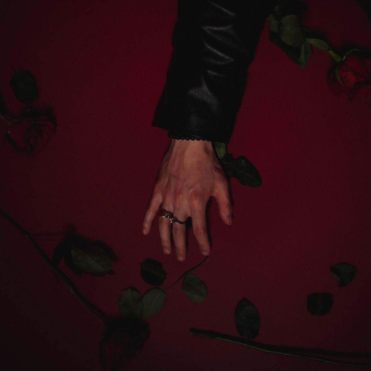 Album cover of RED ROSE