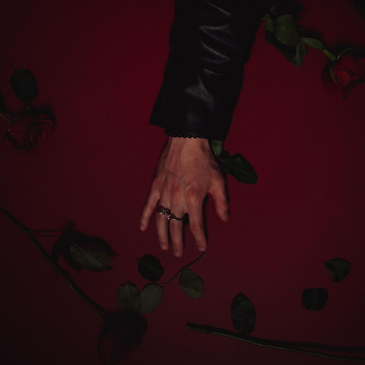 Album cover of RED ROSE