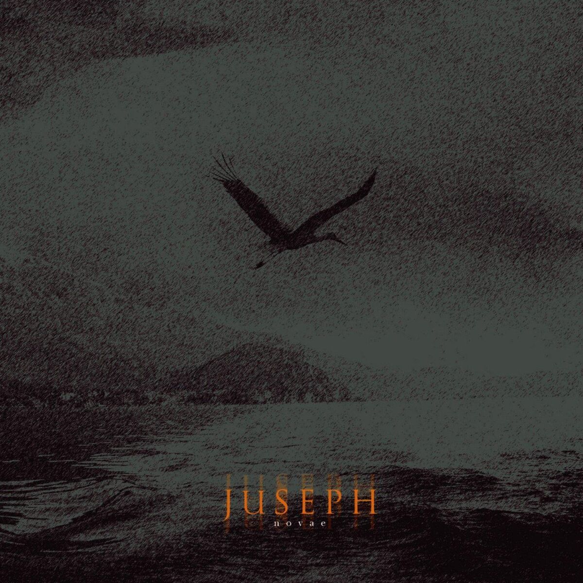 Album cover of Novae