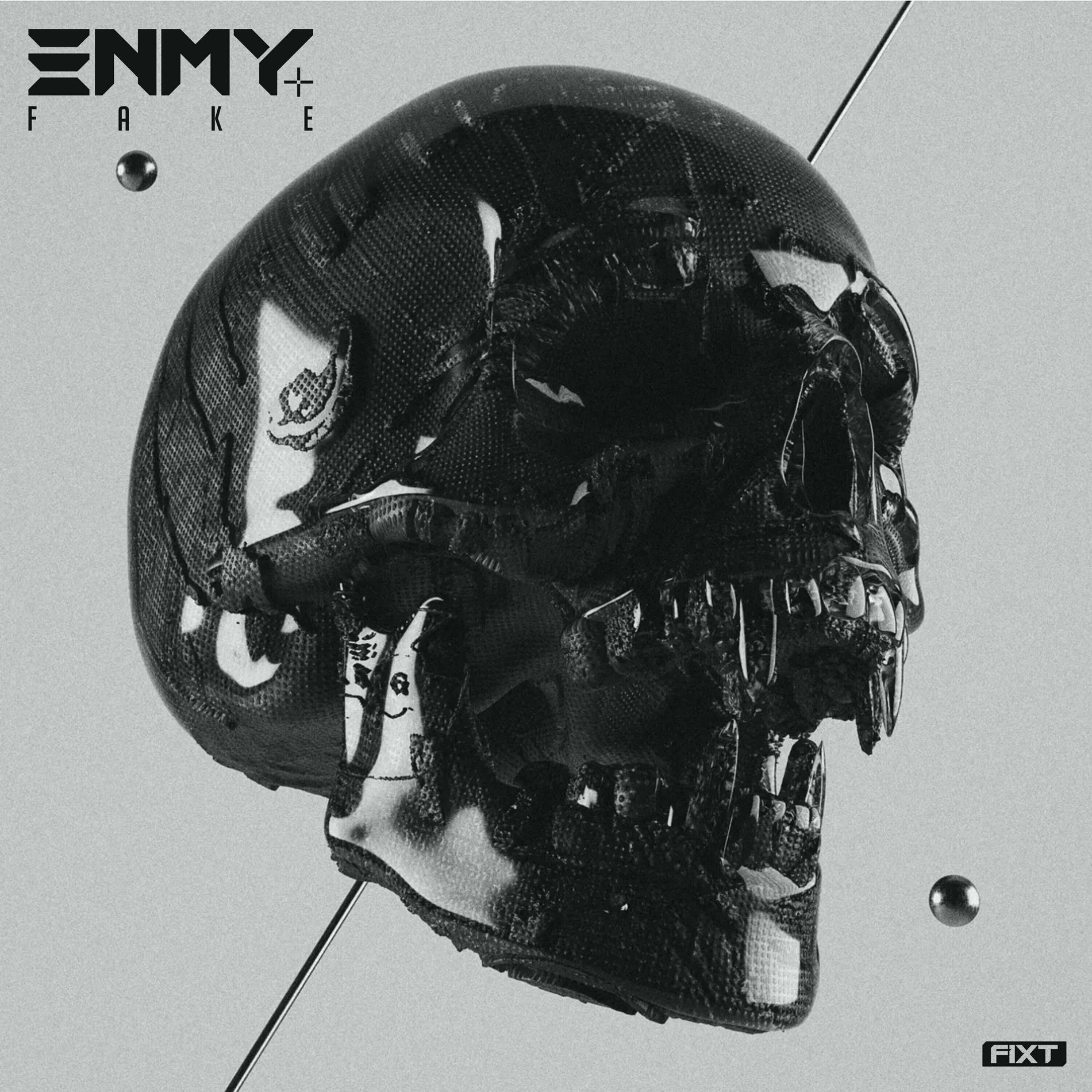 Album cover of Fake