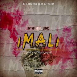 Cover of iMali (Radio Edit)