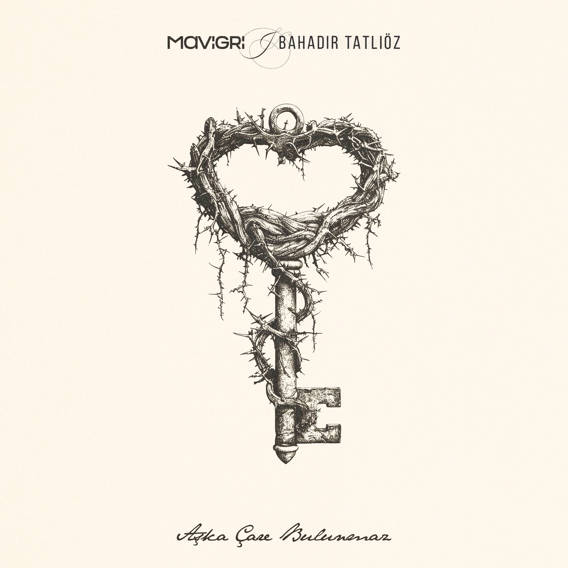 Album cover of Aşka Çare Bulunmaz