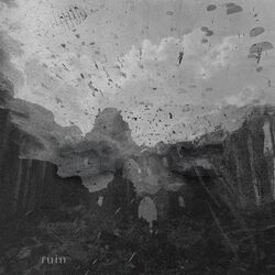Cover of Ruin