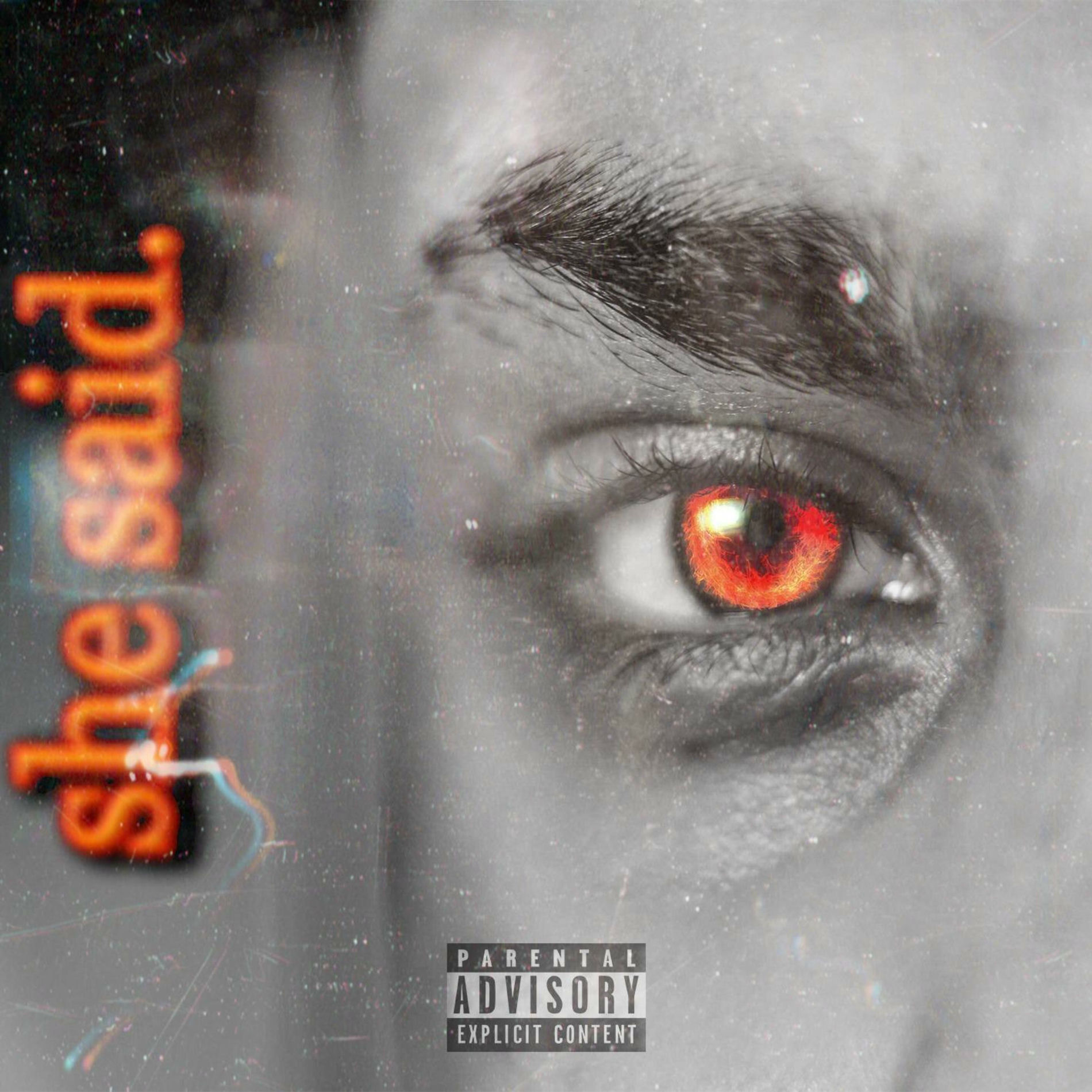Album cover of She Said
