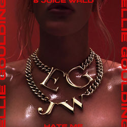 Cover of Hate Me