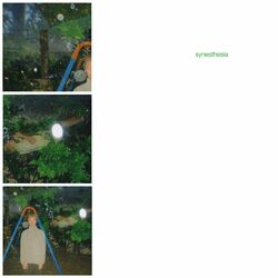 Cover of synesthesia