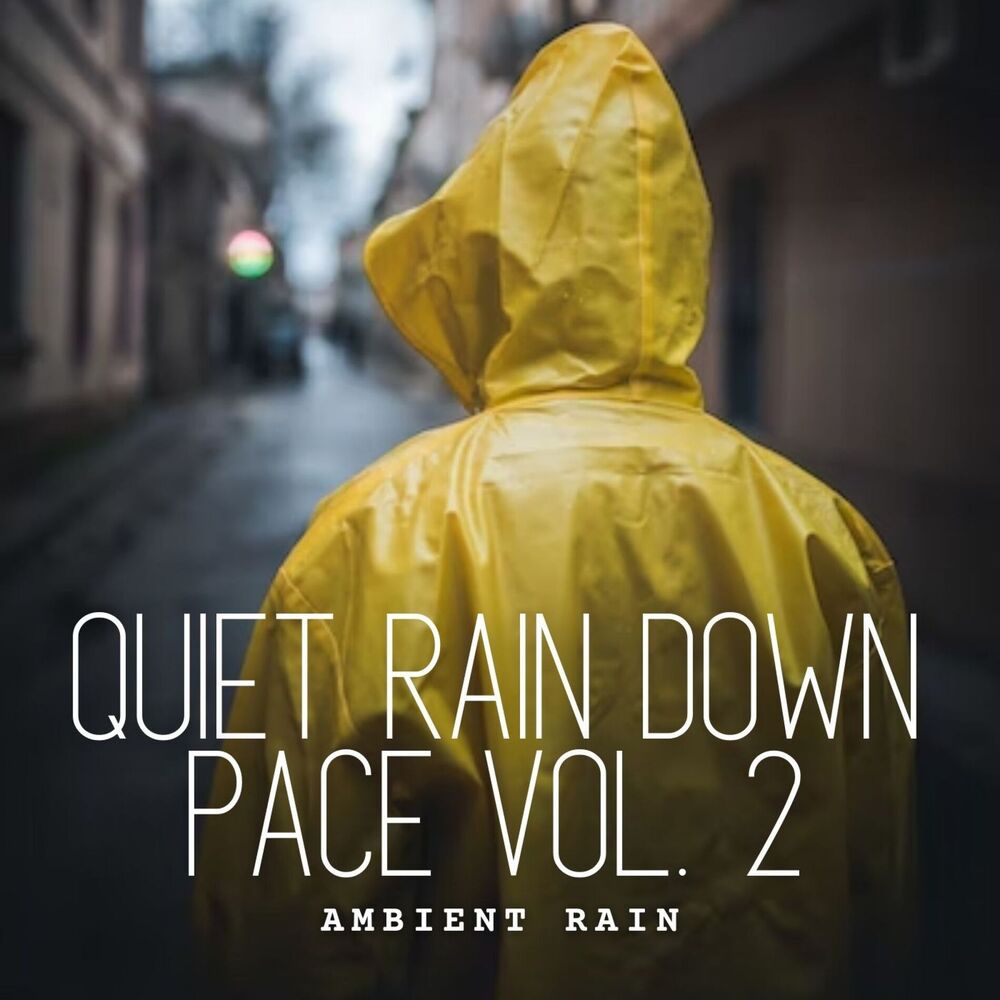 Picture of Ambient Rain: Quiet Rain Down Pace Vol. 2