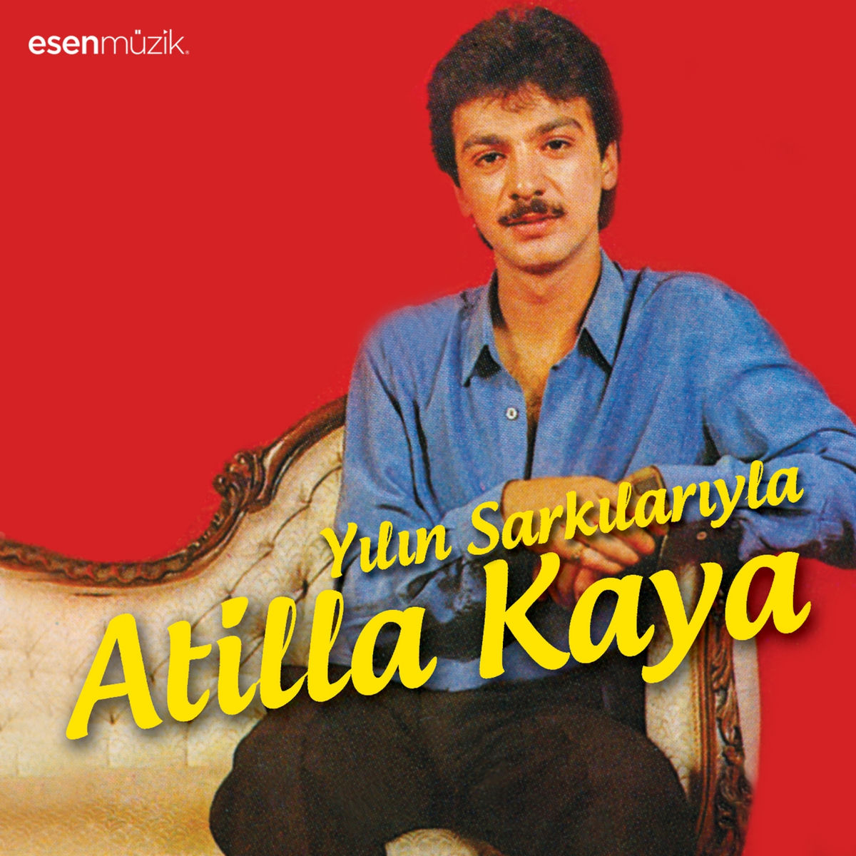 Album cover of Şarkılara Sordum