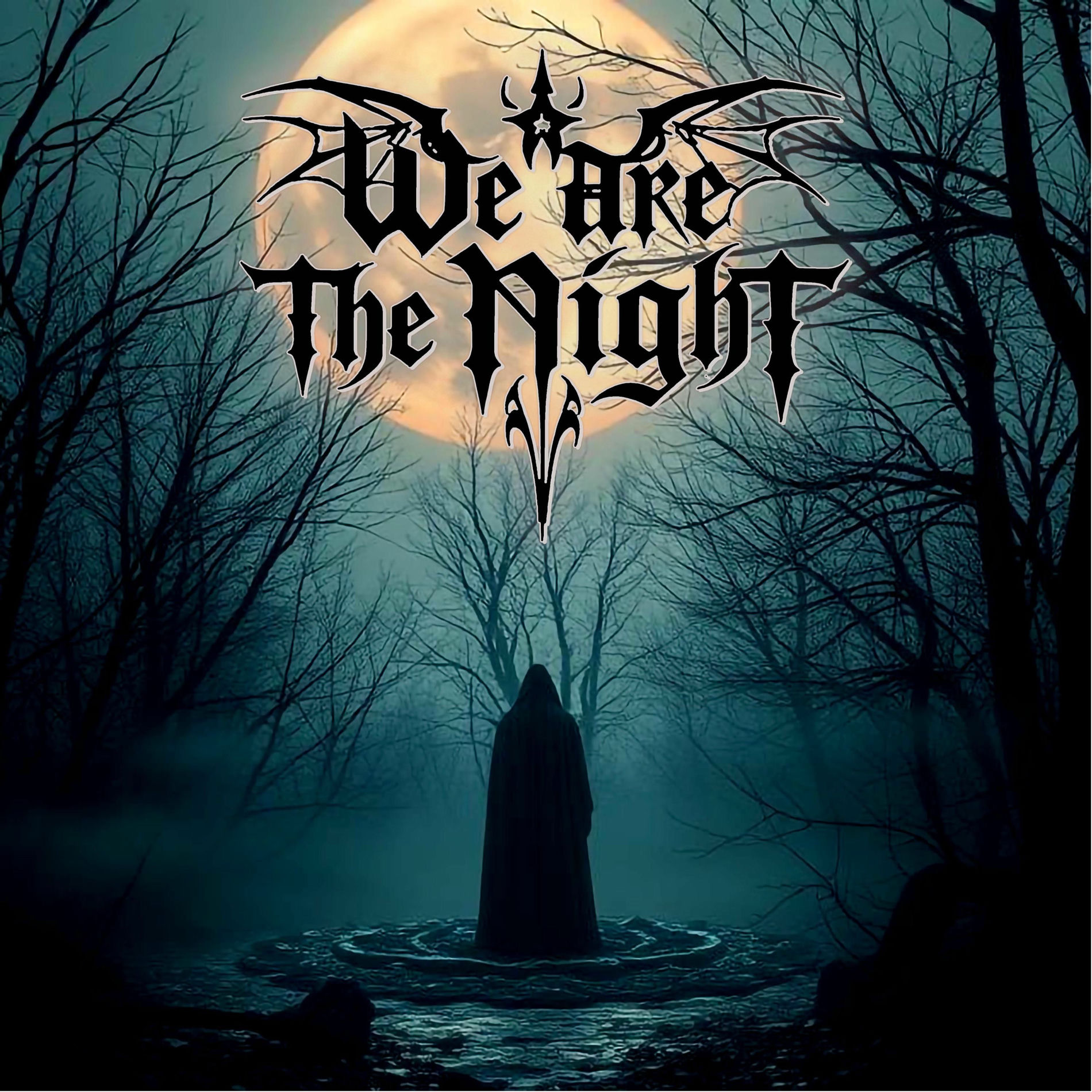 Album cover of We Are The Night
