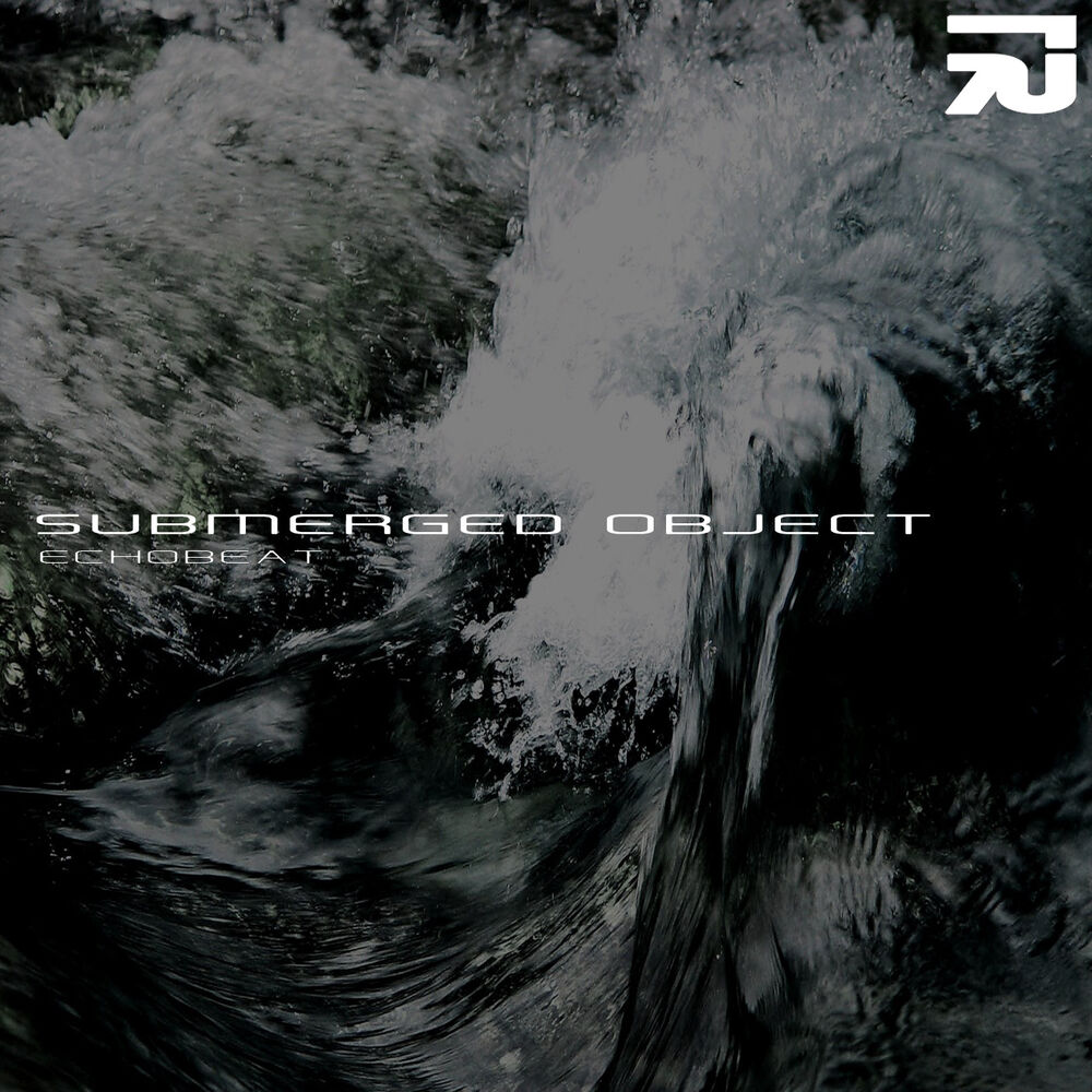 Picture of Submerged Object