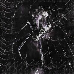 Cover of OXY