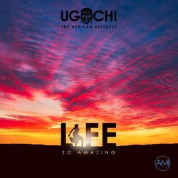 Cover of Life, So Amazing