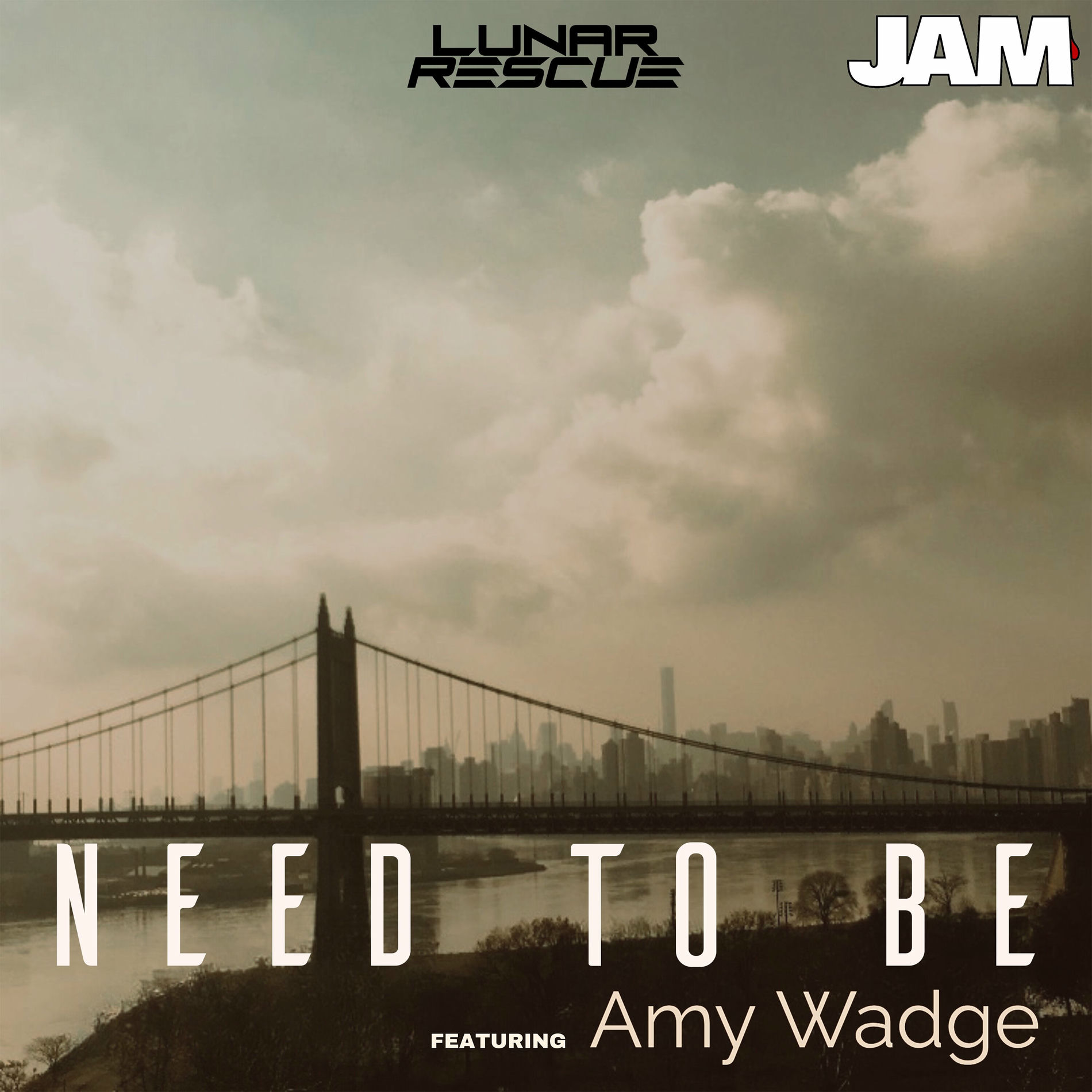 Album cover of Need To Be (feat. Amy Wadge)