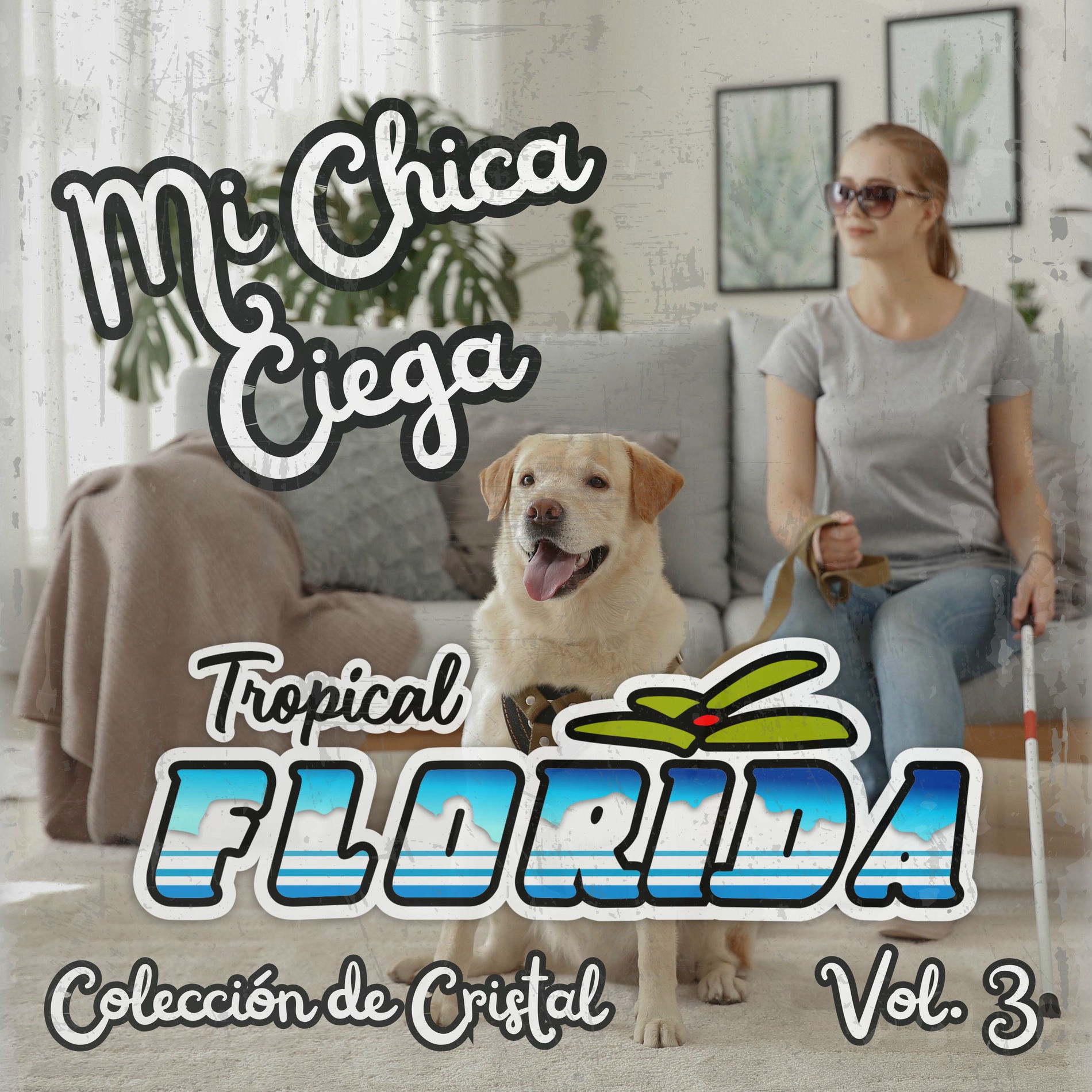 Album cover of Mi Chica Ciega (Colección de Cristal Vol. 3)