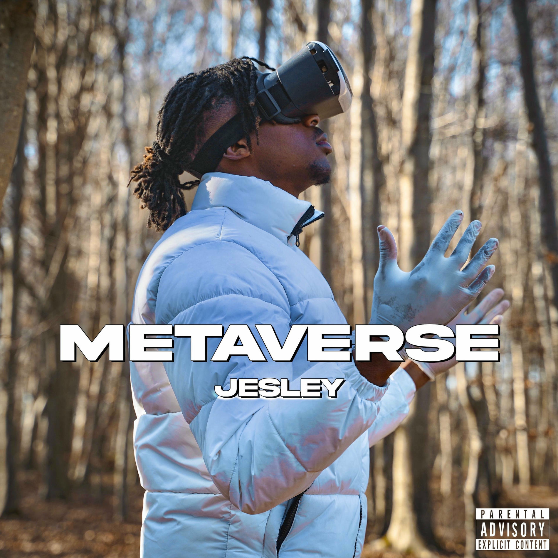 Album cover of Metaverse