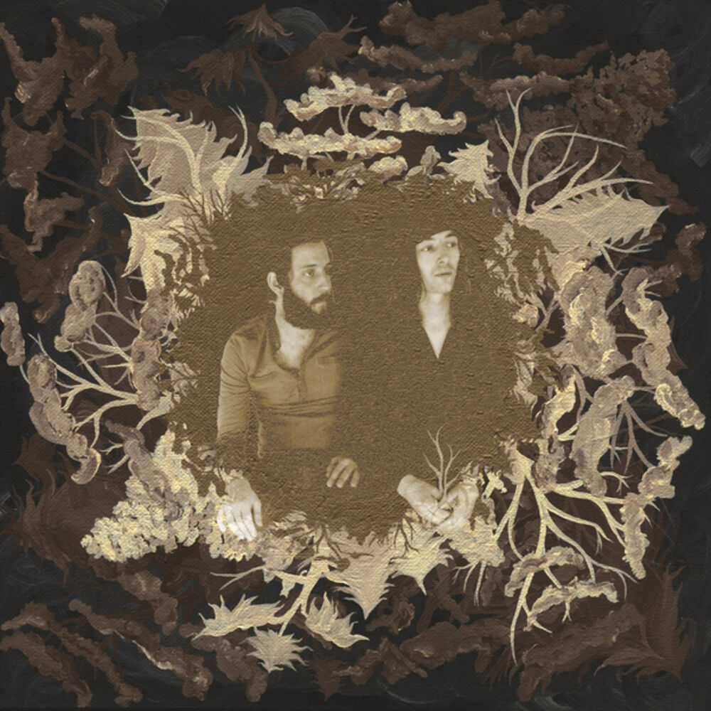 Picture of There Are Witches in the Woods