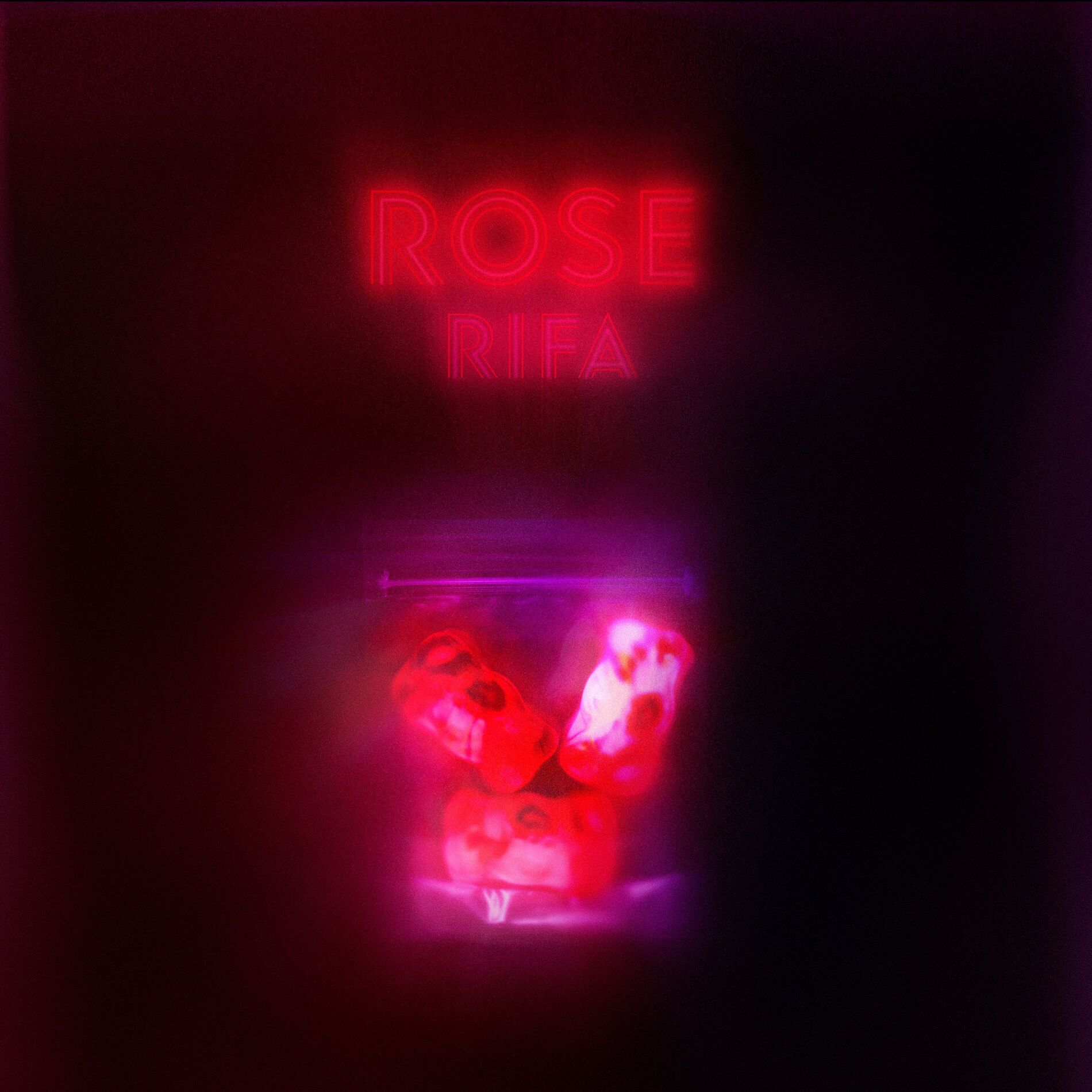 Album cover of Rose