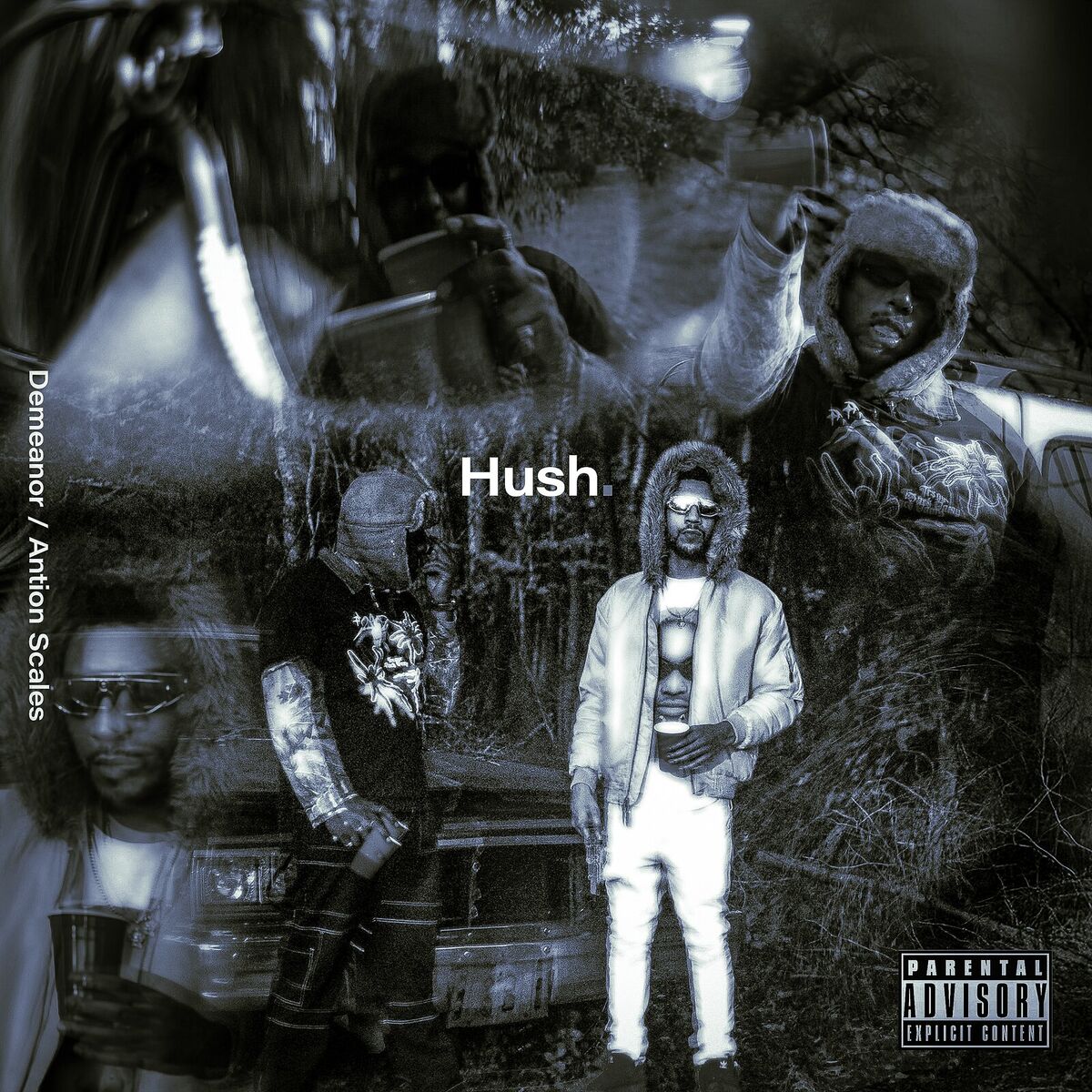 Album cover of Hush