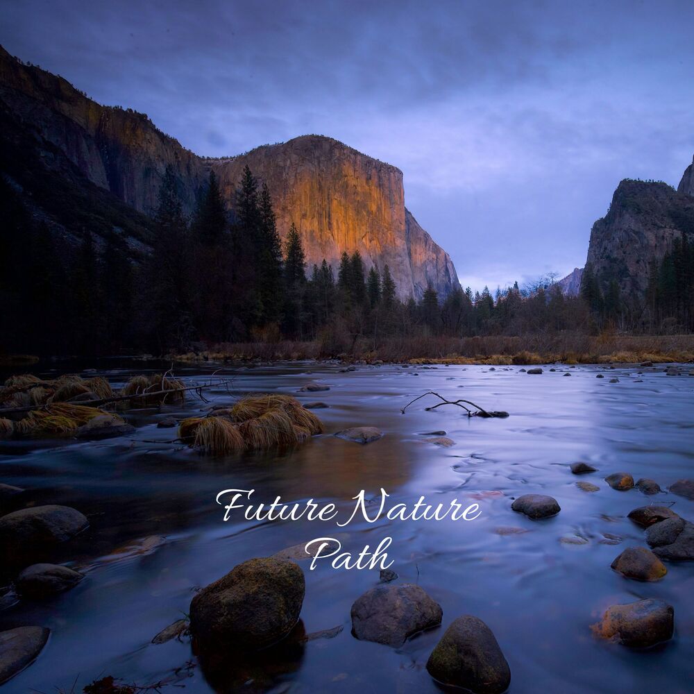 Picture of Future Nature Path