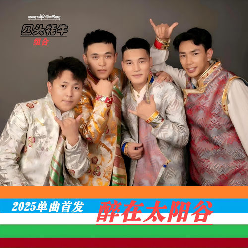 醉在太阳谷