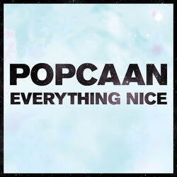 Cover of Everything Nice - Remix (Remix)