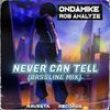 ROB ANALYZE/ONDAMIKE - Never Can Tell