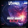 PERFECT KOMBO - Feel This