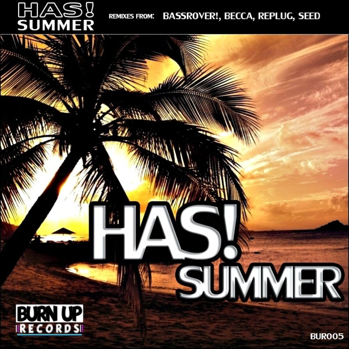 Album cover of Summer