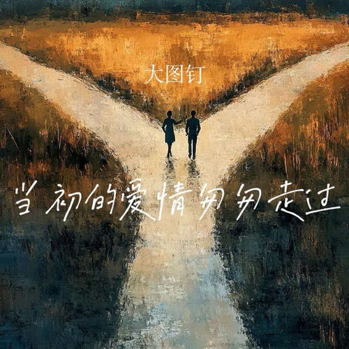 当初的爱情匆匆走过