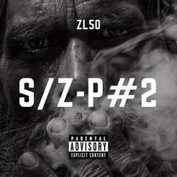 S/Z-P #2