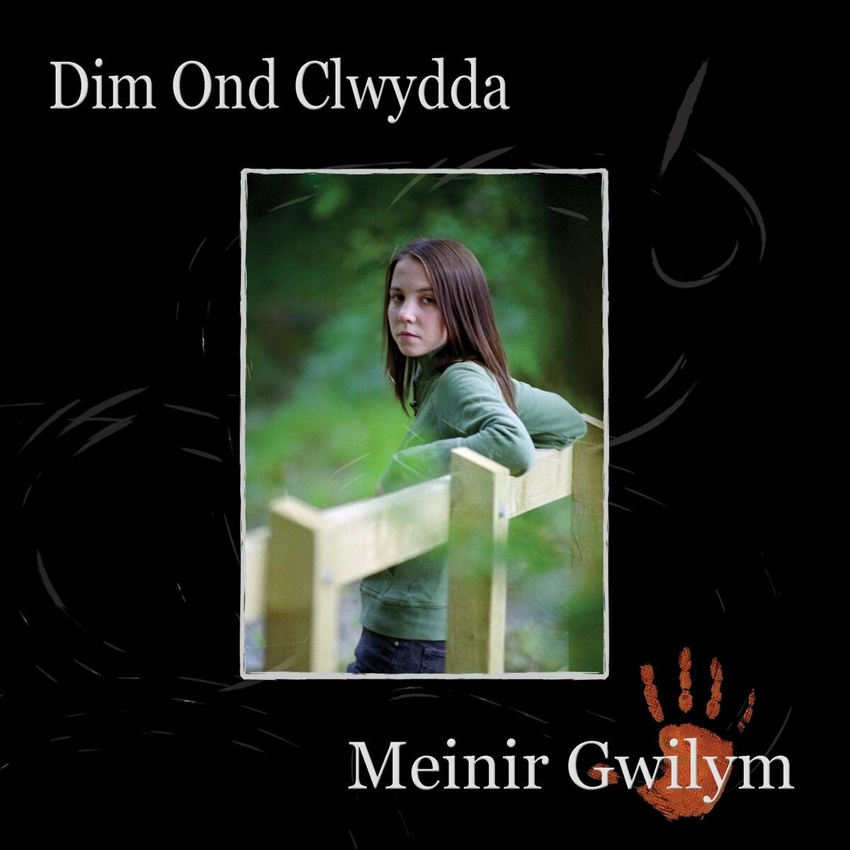 Album cover of Cymru, Usa