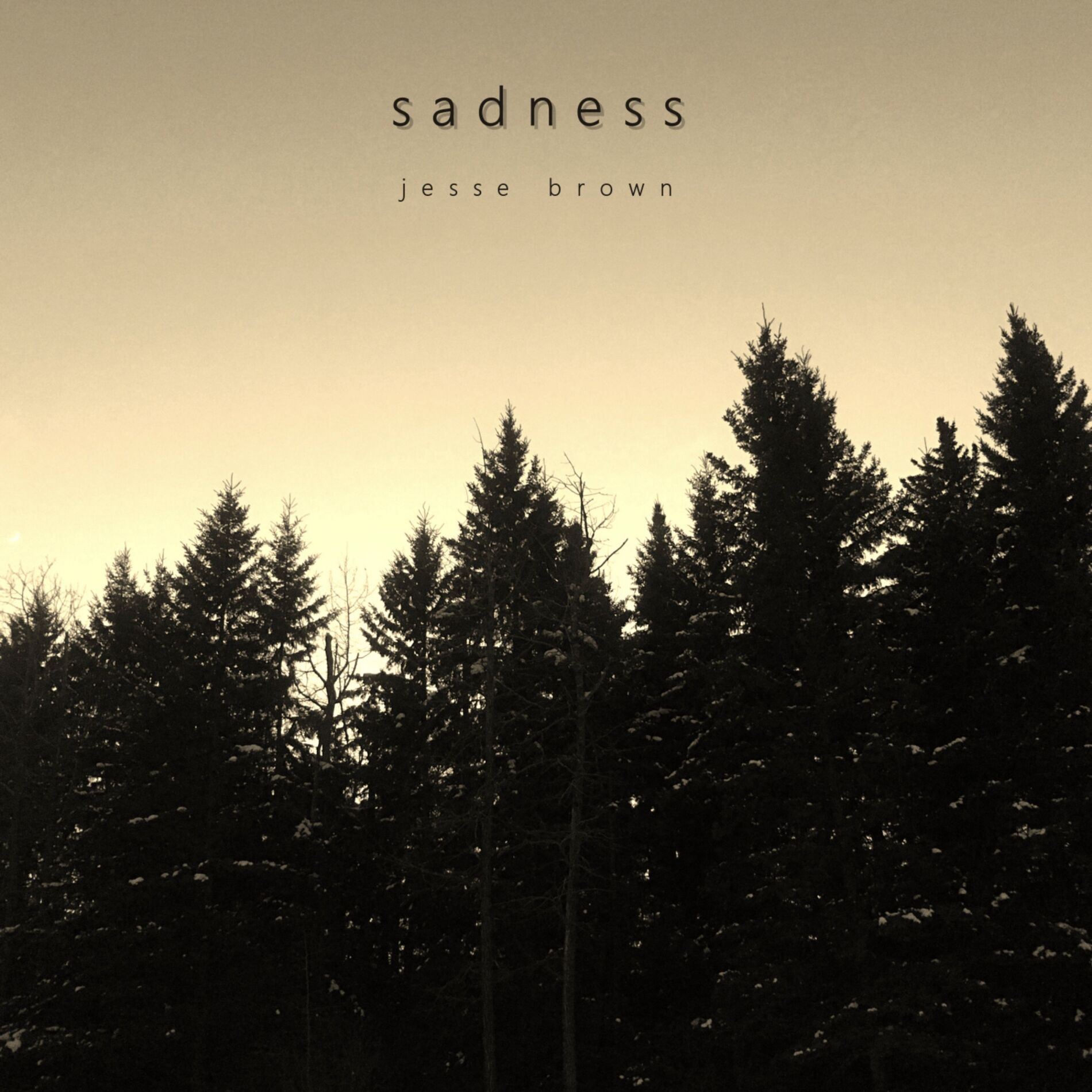Album cover of Sadness