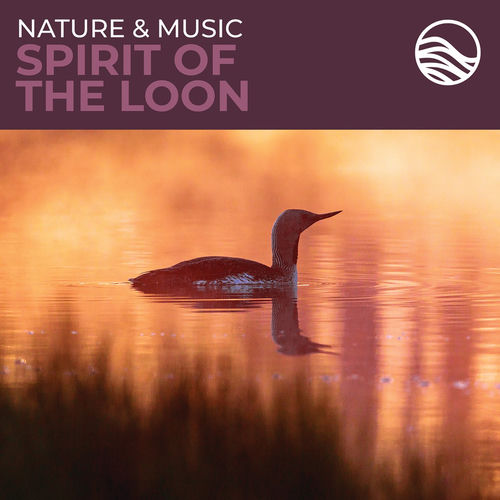 Salton Sea — Brian Hardin