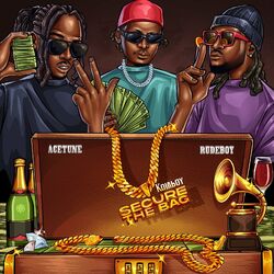 Cover of Secure the Bag